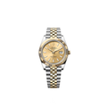 2026 Rolex Datejust 41 Champagne Dial Two Tone Yellow Gold 126333